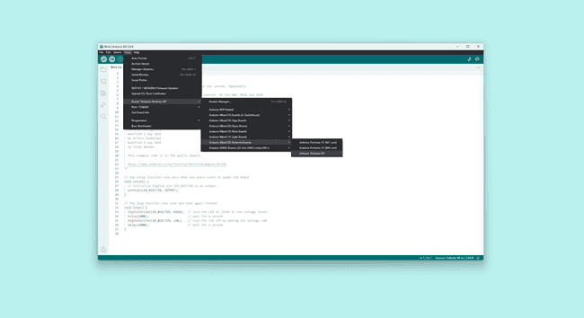 IDE board selector